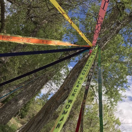 Wien's second maypole at Jackson Lake 